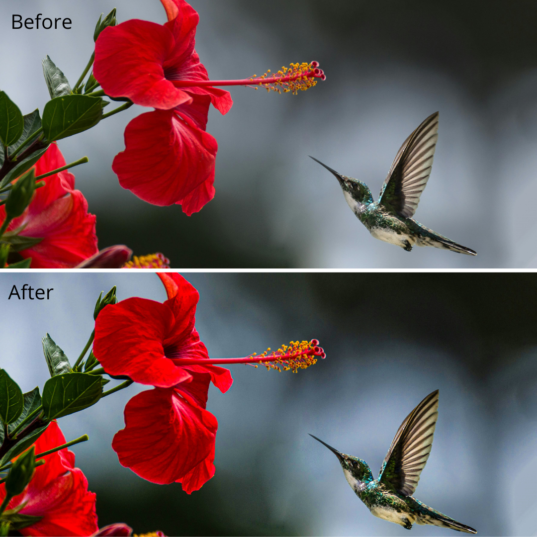 Natural preset collection