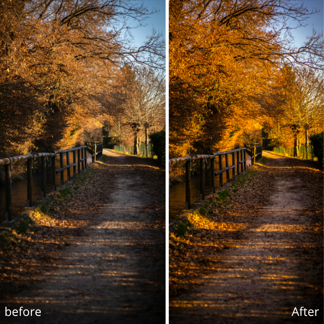 Natural preset collection